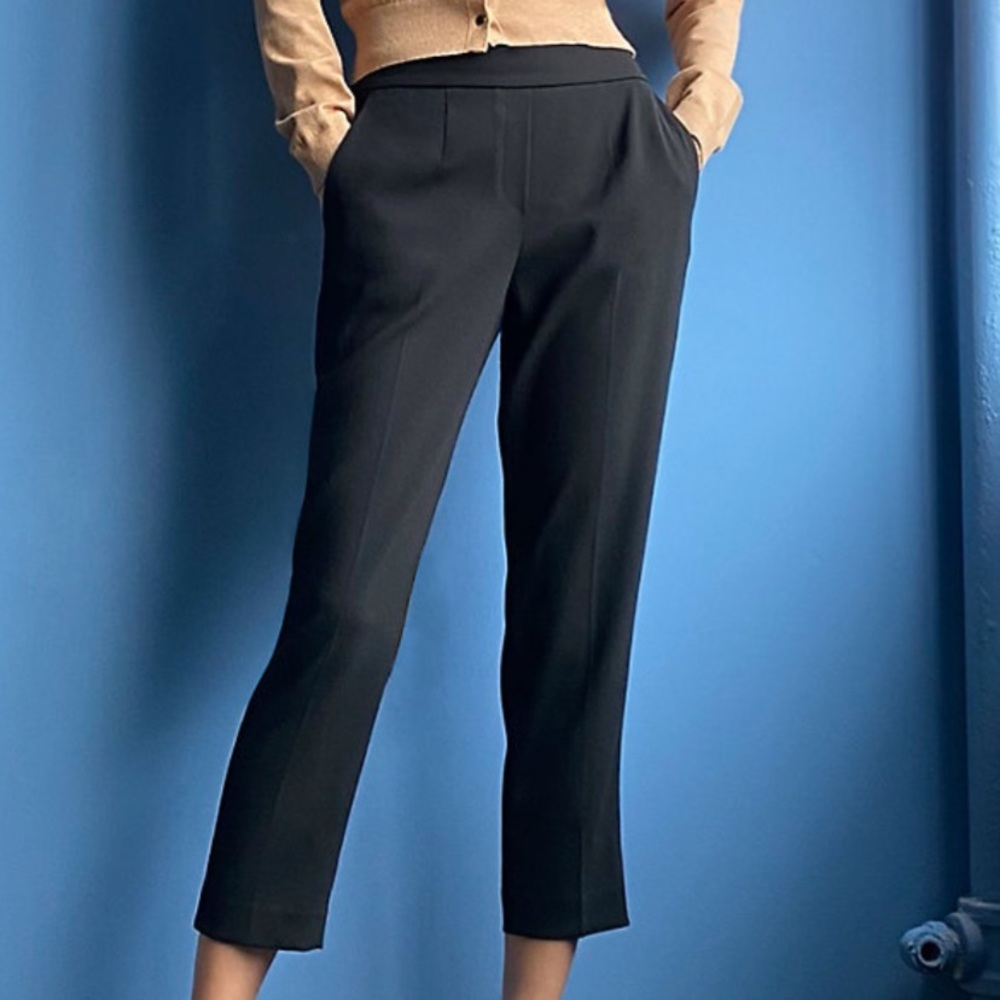 Aritzia Conan pant
